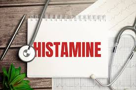 Why Histamine Symptoms Vary by Day The Bucket Theory Explained